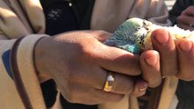 Berat, 55 saat sonra elinde muhabbet kuşuyla enkazdan çıkarıldı