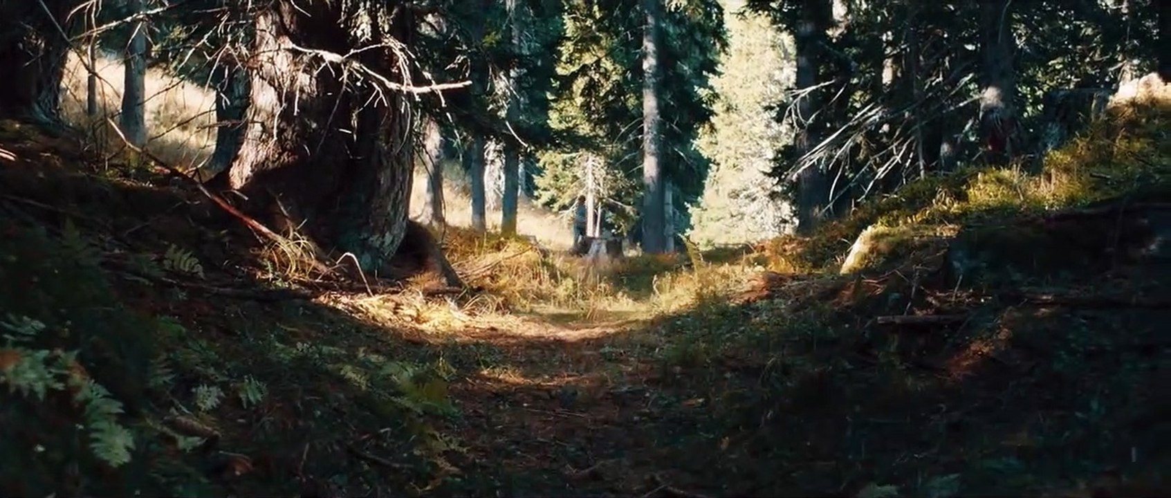 Lassie - Ein neues Abenteuer Trailer DF