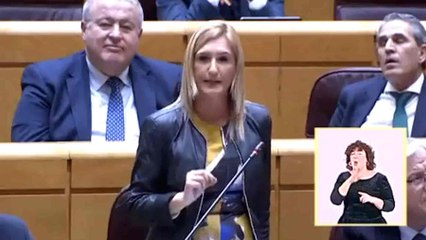 Ofensiva total del PP en el Senado por el 'caso Azud' Puig cada vez está más acorralado