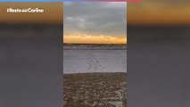 Neve in spiaggia tra Cesenatico e Gatteo: il risveglio imbiancato