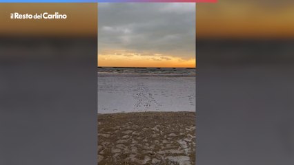 Neve in spiaggia tra Cesenatico e Gatteo: il risveglio imbiancato