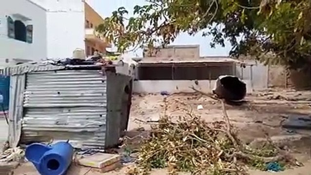 Urgent / Saint-Louis: Un incident tue deux talibés au quartier Sindoné