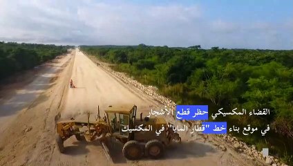 حظر قطع الأشجار في موقع بناء خط "قطار المايا" في المكسيك