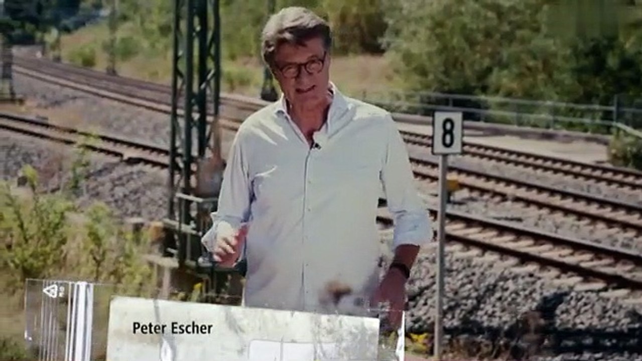 Die Spur der Täter-Der Frauenmörder