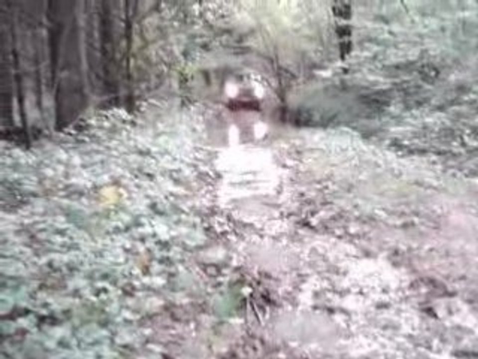 MOV00477