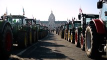 Paris : 500 tracteurs dans la capitale pour protester contre l'interdiction d'un insecticide