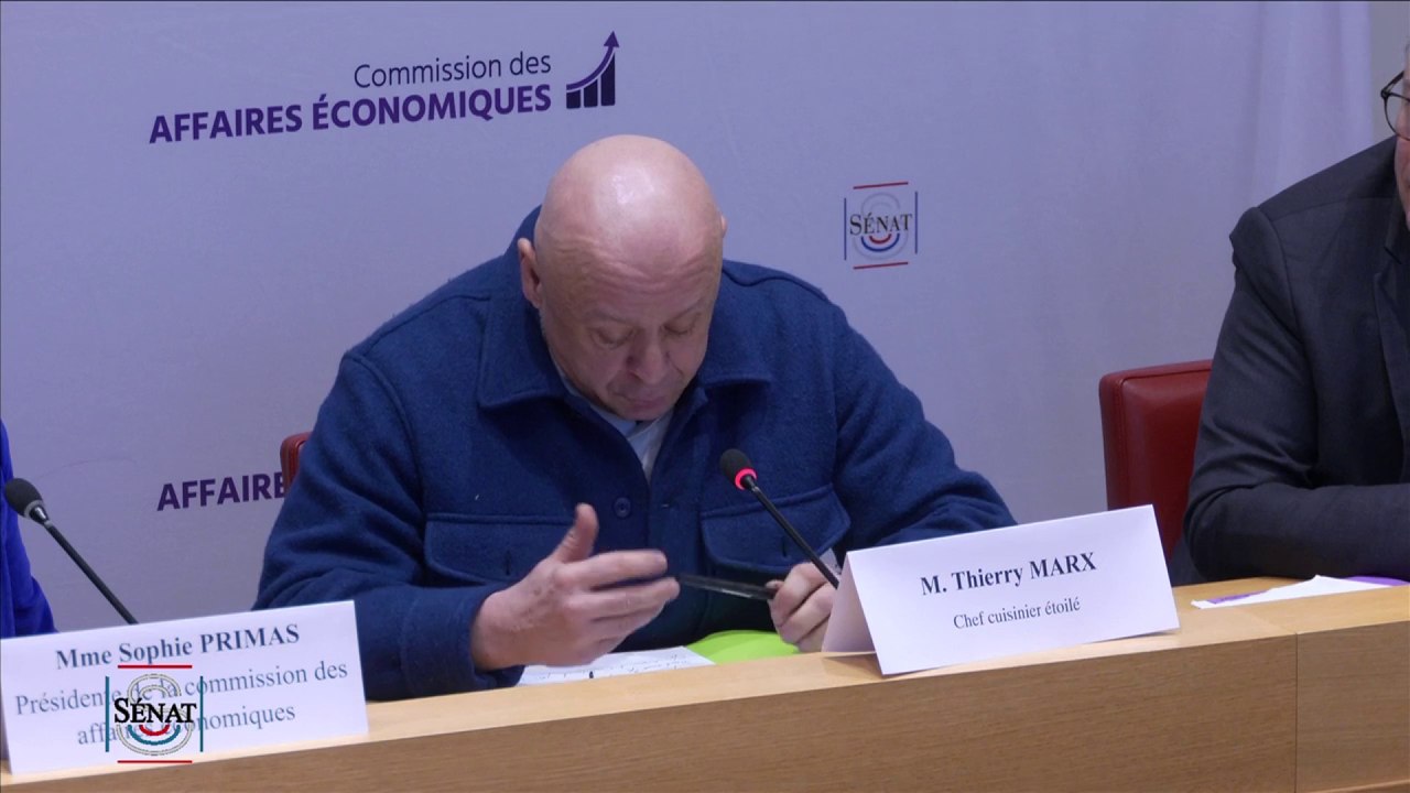 Viande in vitro : "Vous avez renoncé à la qualité donc on vous fait des petits prix"