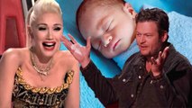 Gwen Stefani 'rises' to Blake Shelton's conservatism about child plans