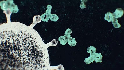 Covid-19, la course aux vaccins