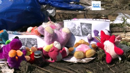 Vol MH17: "fortes indications" que le président russe a donné son accord pour fournir le missile