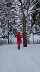 Wo Bhuli Dastan by Chitralekha Dixit