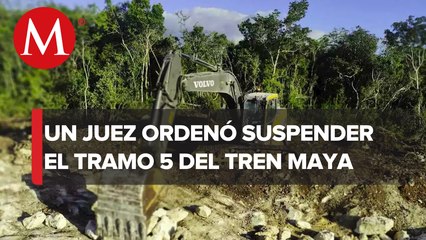Juez paraliza por tiempo indefinido trabajos en el Tramo 5 del Tren Maya