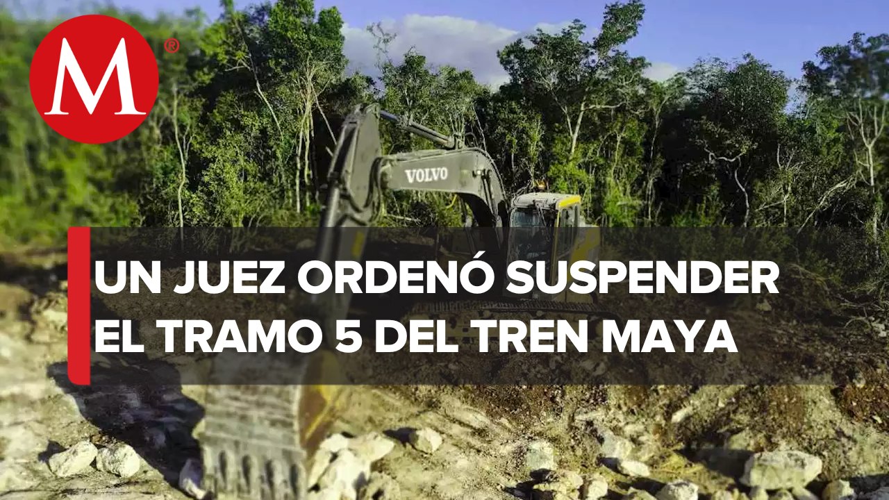Juez paraliza por tiempo indefinido trabajos en el Tramo 5 del Tren Maya