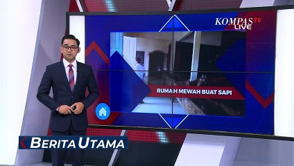 Unik! Rumah Mewah Jadi Kandang untuk Sapi Sultan