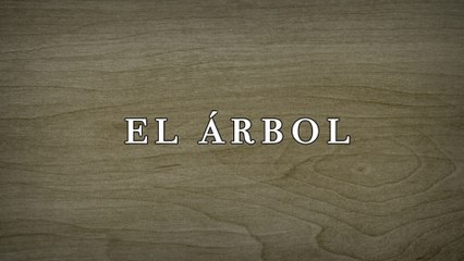 Banda Rancho Viejo De Julio Aramburo La Bandononona - El Árbol