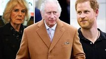 Le roi Charles s'apprête à assouplir sa règle clé de Camilla pour «rester en contact» avec le prince
