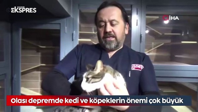 Olası depremde kedi ve köpeklerin önemi çok büyük