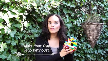 This Lego Birdhouse Is One of the Coolest Activities Your Kids Can Do