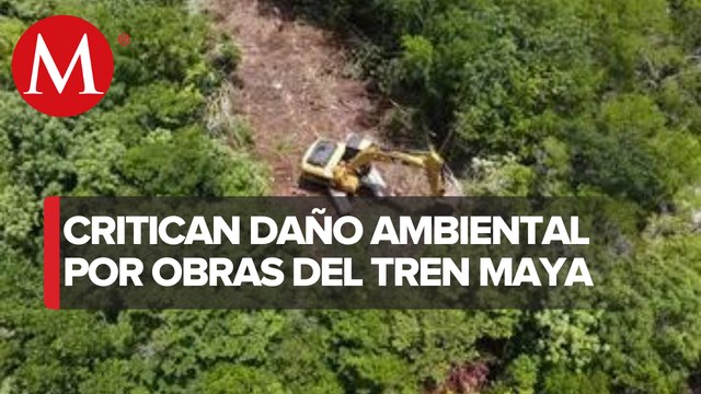No respetarán la suspensión definitiva en tramo 5 del Tren Maya, afirma ambientalista