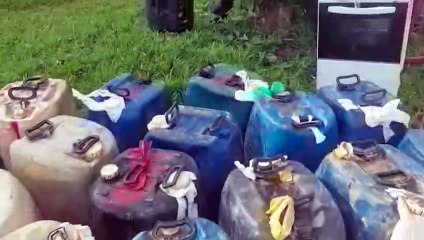 Retomada do território Yanomami