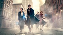Fantastic Beasts and Where to Find Them (2016) | Official Trailer, Full Movie Stream Preview