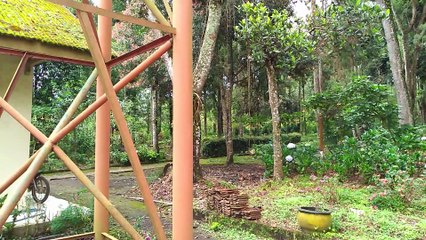 TOUR AND TRAVEL TO COBAN RONDO GARDEN MALANG
