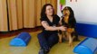 mqn-Perros para superar depresiones y ayudar a niños con discapacidad-080223
