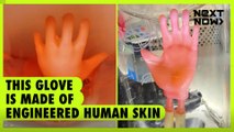 This glove is made of engineered human skin | Next Now
