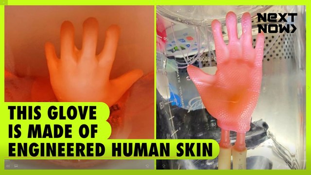 This glove is made of engineered human skin | Next Now