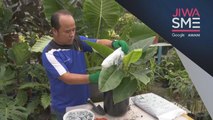 Jiwa SME | Bertam Nursery jual anak pokok, khidmat nasihat dalam talian