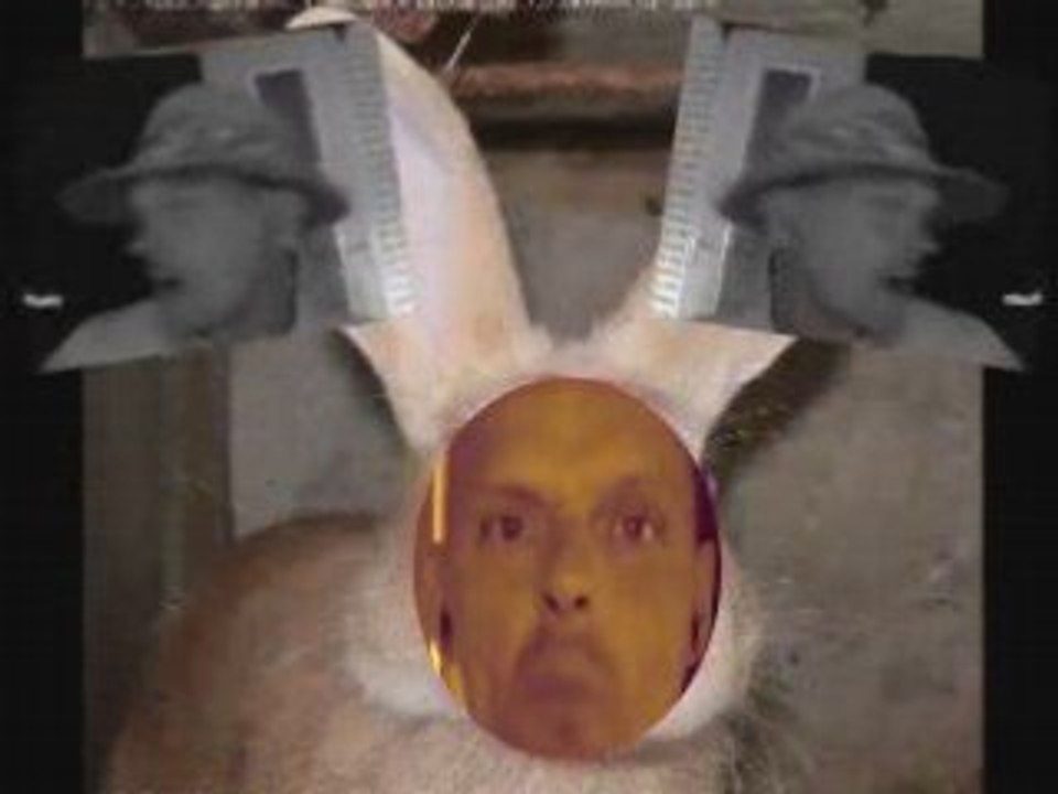 Lapin