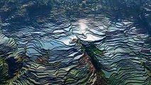 Terrace Fields For Rice in Yuanyang China