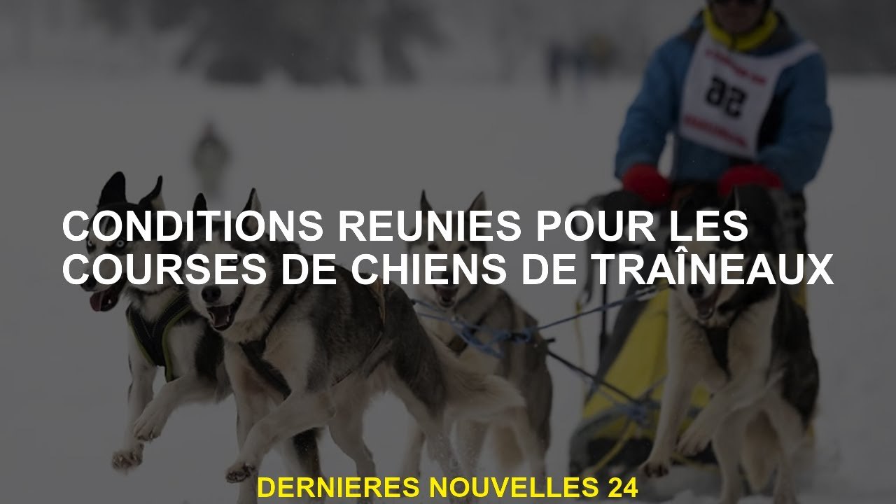 Conditions remplies pour les courses de chiens de traîneau