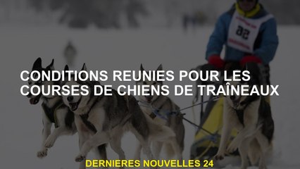Conditions remplies pour les courses de chiens de traîneau