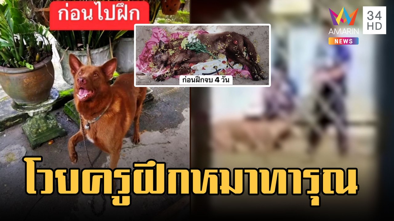 เจ้าของหมาโวยครูฝึก K9 ทารุณกรรม กระชากคอหมา | ข่าวเที่ยงอมรินทร์ | 9 ก.พ.66