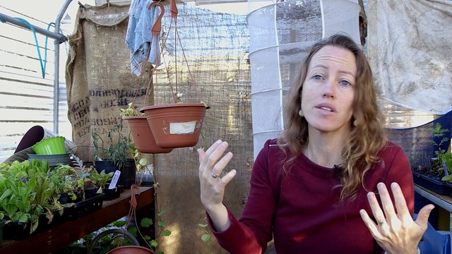 Happy, la Méditation à l'École // Extrait 3 : La Pleine Conscience à l'École // VF