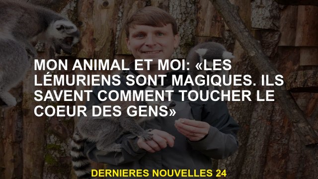 Mon animal et moi: Les lémuriens sont magiques. Ils savent comment toucher le cœur des gens