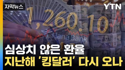 [자막뉴스] 하루 만에 반전된 환율...지난해 '킹달러' 다시 오나 / YTN