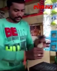 जिकडे नजर टाकाल तिथे केवळ New