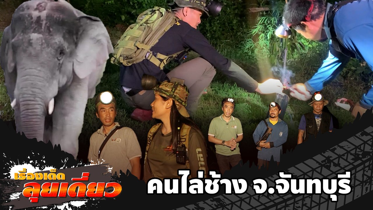 เรื่องเด็ดลุยเดี่ยว | อาสาสมัคร คนไล่ช้าง จ.จันทบุรี | ข่าวเที่ยงอมรินทร์ | 9 ก.พ.66