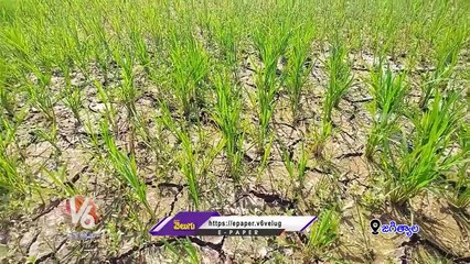 Farmers Facing Problems With Power Cuts | Jagtial | V6 News