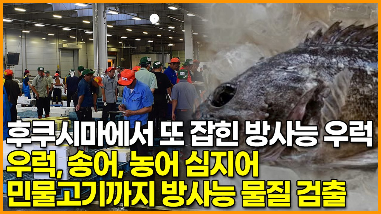 후쿠시마에서 또 잡힌 방사능 우럭, 우럭&송어&농어 심지어 민물고기까지 방사능 물질 검출