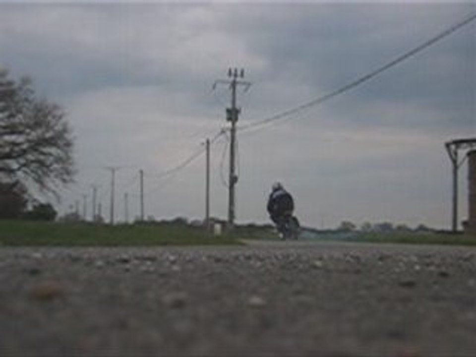 Mob violette bidalot