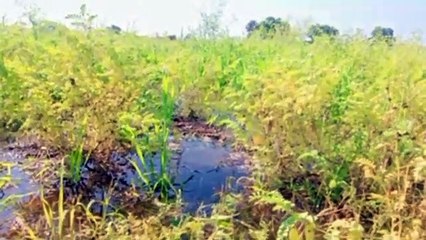 Video Story: farmers upset