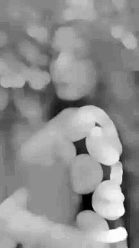 Bangla hot dance Dance Bangladeshi girls