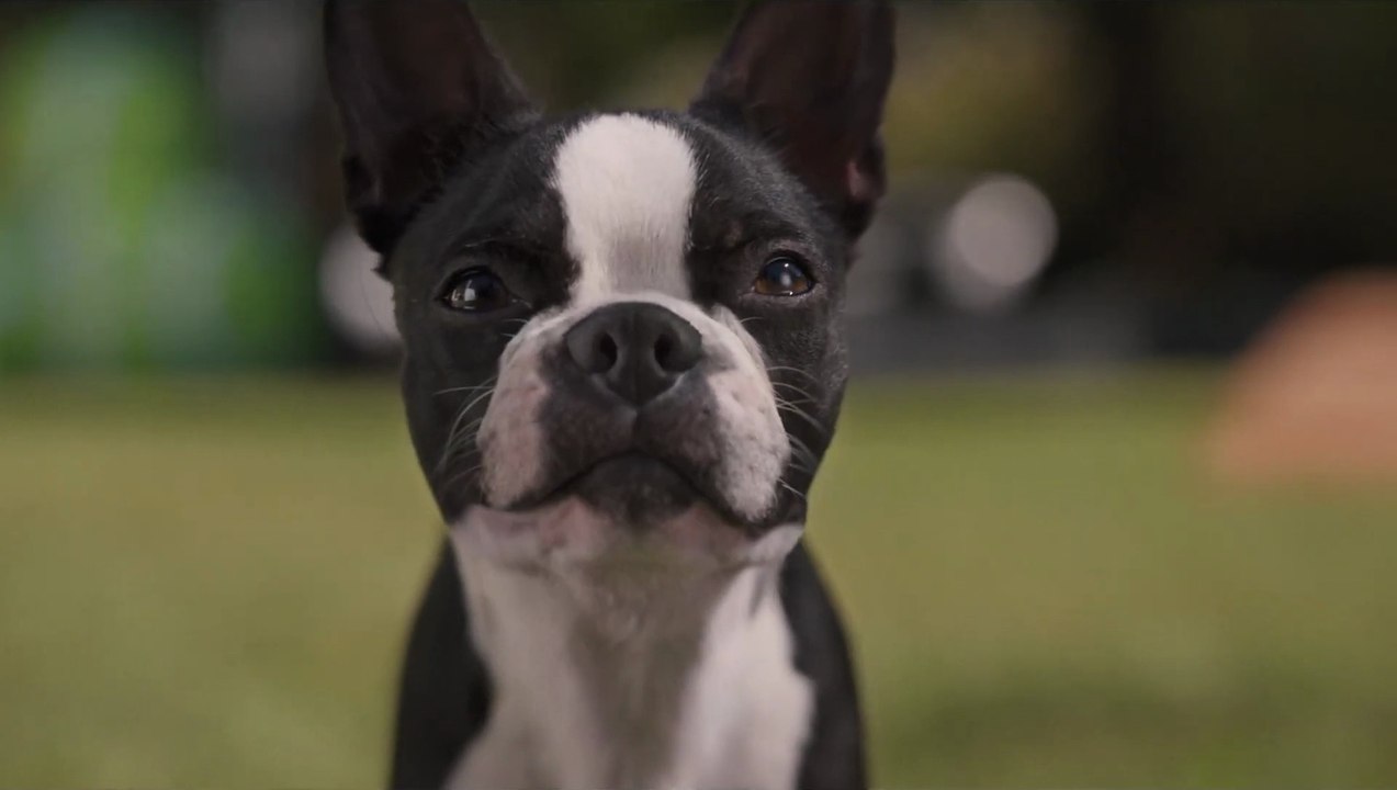 Doggy Style - Trailer (Deutsch) HD