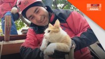 Cat rescued from the rubble after earthquake in Turkey