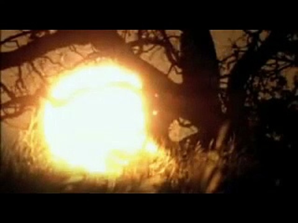 Der weiße Löwe | movie | 2010 | Official Trailer
