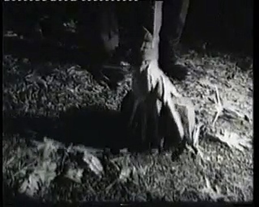 Die Nacht der lebenden Toten | movie | 1968 | Official Trailer