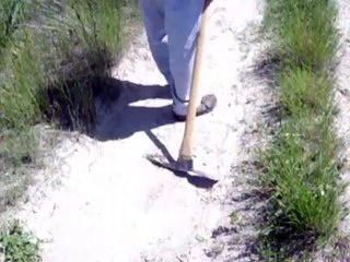 The Hills Have Eyes 3 | movie | 1995 | Official Trailer